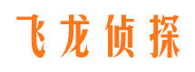 共和寻人公司